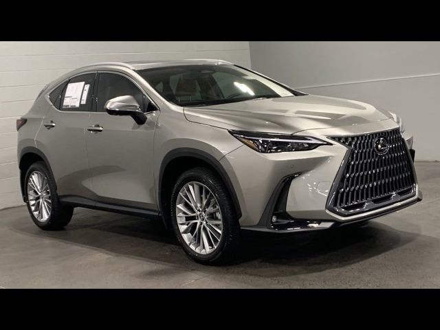 2025 Lexus NX 350 Premium