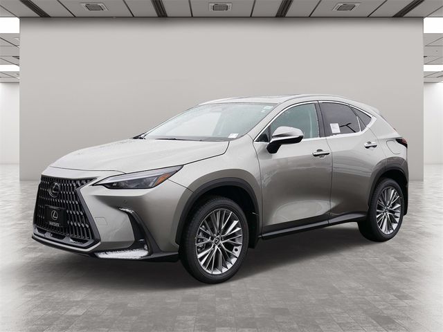 2025 Lexus NX 350 Premium