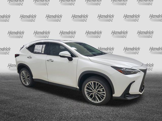 2025 Lexus NX 350 Premium