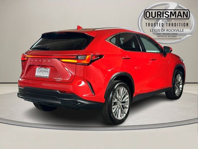 2025 Lexus NX 350 Premium