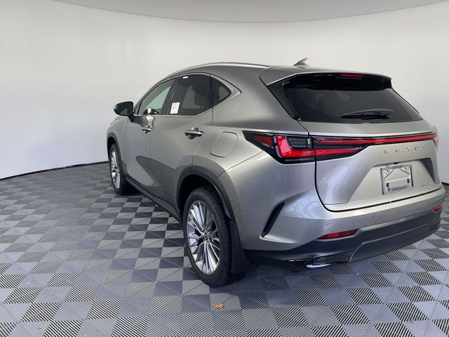 2025 Lexus NX 350 Premium