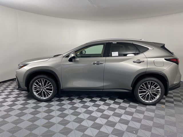 2025 Lexus NX 350 Premium