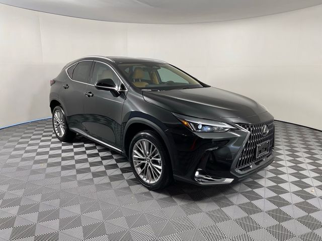 2025 Lexus NX 350 Premium