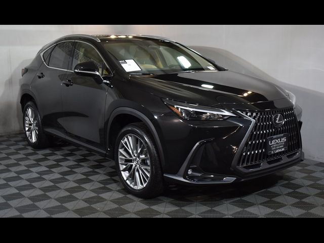 2025 Lexus NX 350 Premium