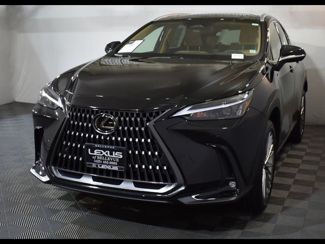 2025 Lexus NX 350 Premium