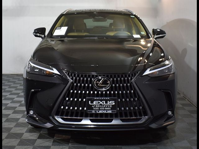 2025 Lexus NX 350 Premium