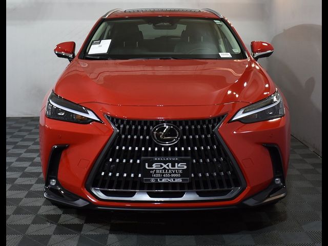 2025 Lexus NX 350 Premium