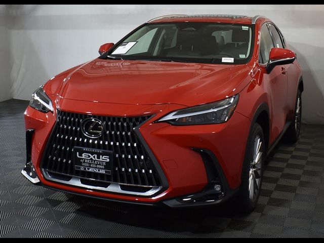 2025 Lexus NX 350 Premium