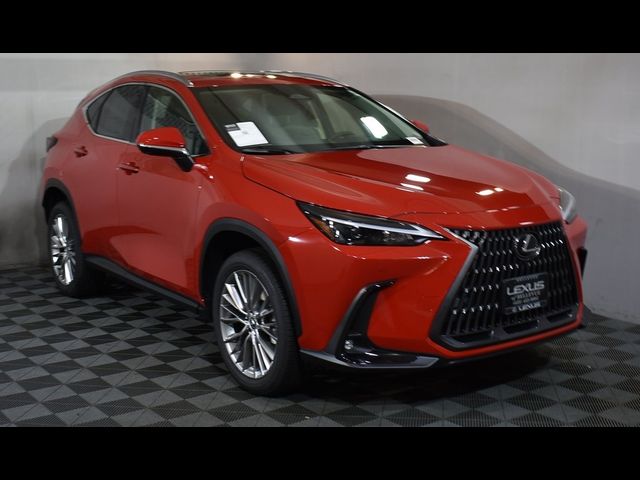 2025 Lexus NX 350 Premium