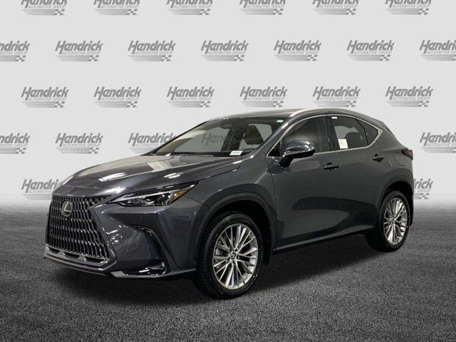 2025 Lexus NX 350 Premium