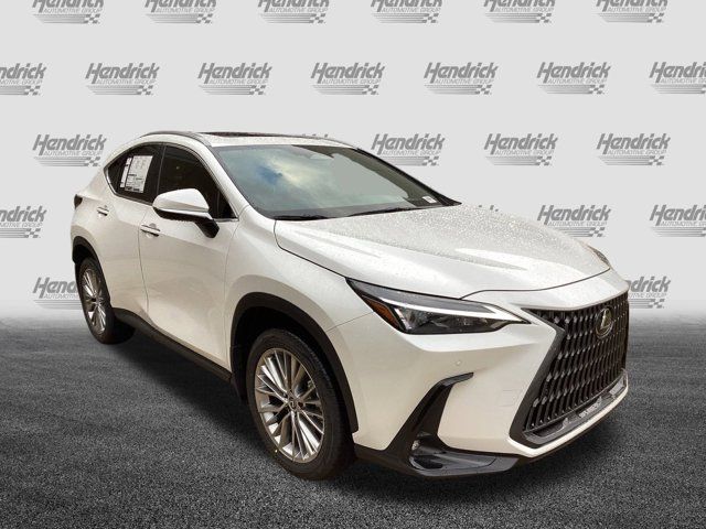 2025 Lexus NX 350 Premium