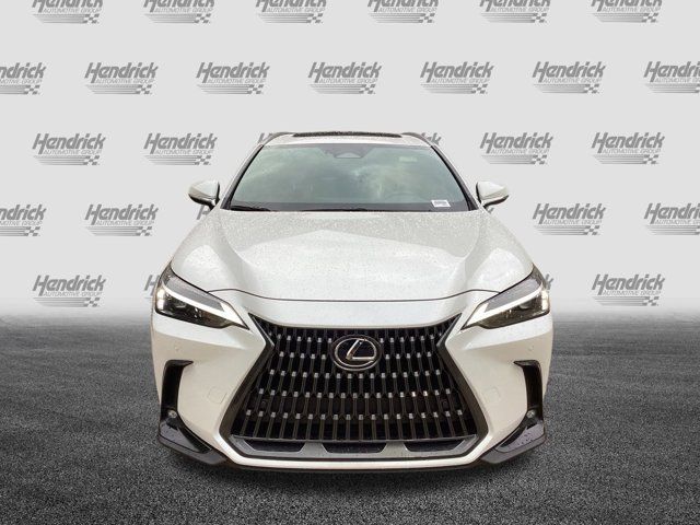 2025 Lexus NX 350 Premium