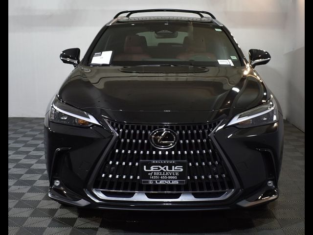 2025 Lexus NX 350 Premium