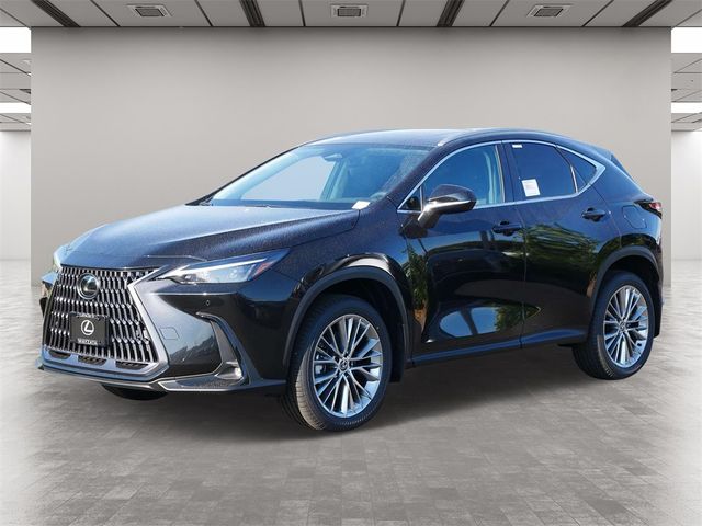 2025 Lexus NX 350 Premium