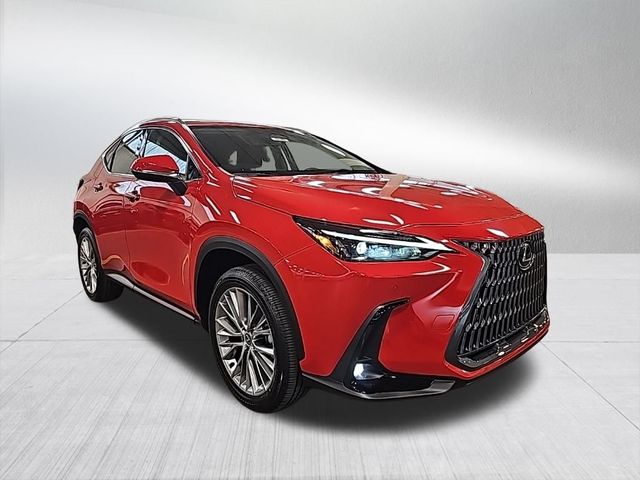 2025 Lexus NX 350 Premium