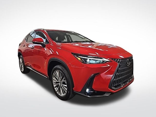 2025 Lexus NX 350 Premium