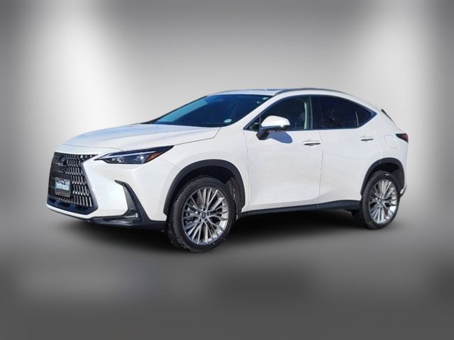 2025 Lexus NX 350 Premium