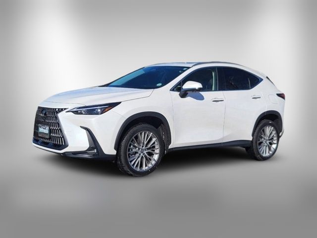 2025 Lexus NX 350 Premium