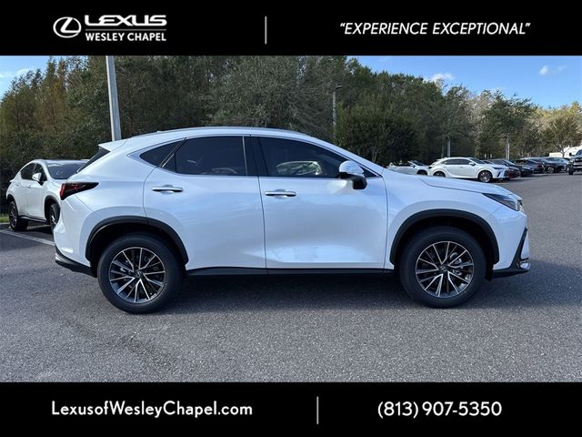 2025 Lexus NX 350 Premium