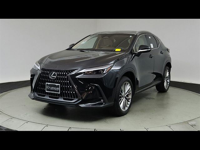 2025 Lexus NX 350 Premium