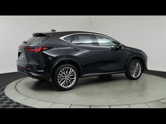 2025 Lexus NX 350 Premium