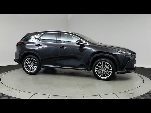 2025 Lexus NX 350 Premium