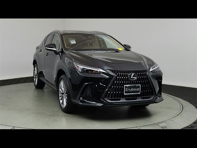 2025 Lexus NX 350 Premium