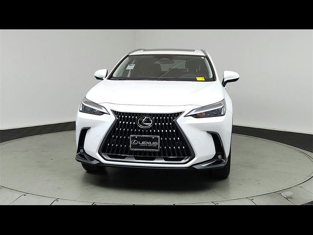 2025 Lexus NX 350 Premium