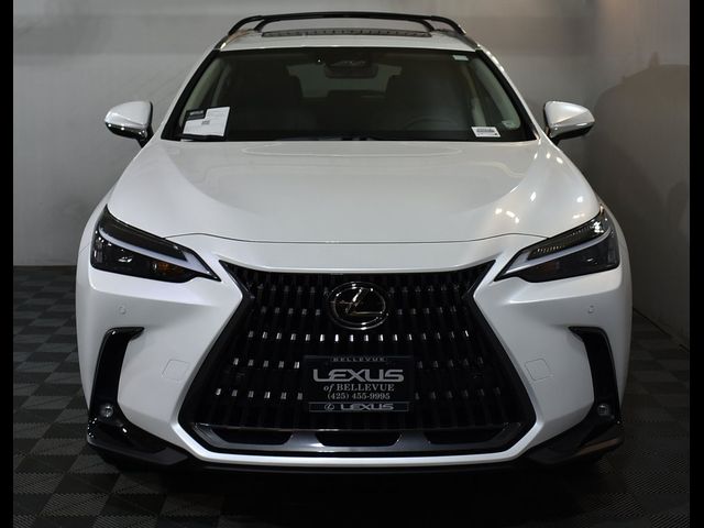 2025 Lexus NX 350 Premium