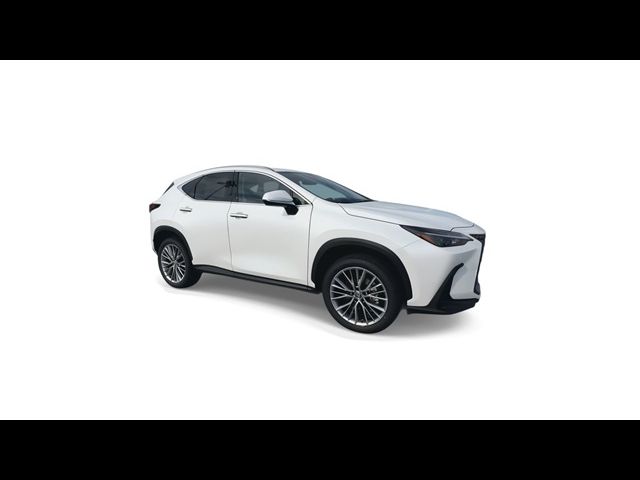 2025 Lexus NX 350 Premium