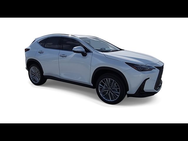 2025 Lexus NX 350 Premium