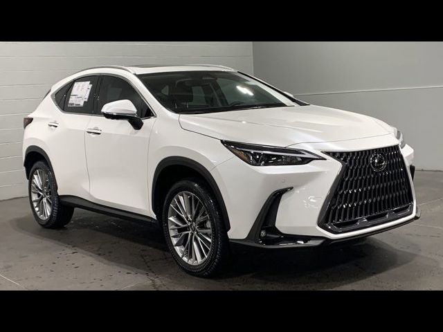 2025 Lexus NX 350 Premium