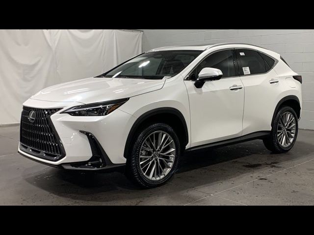 2025 Lexus NX 350 Premium