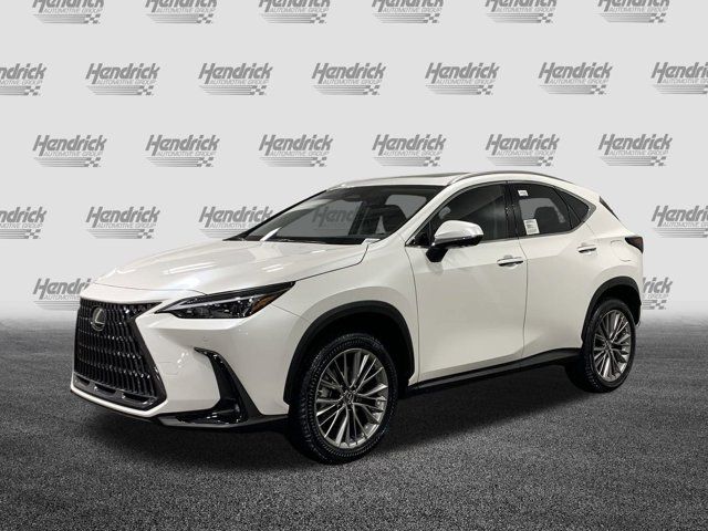 2025 Lexus NX 350 Premium