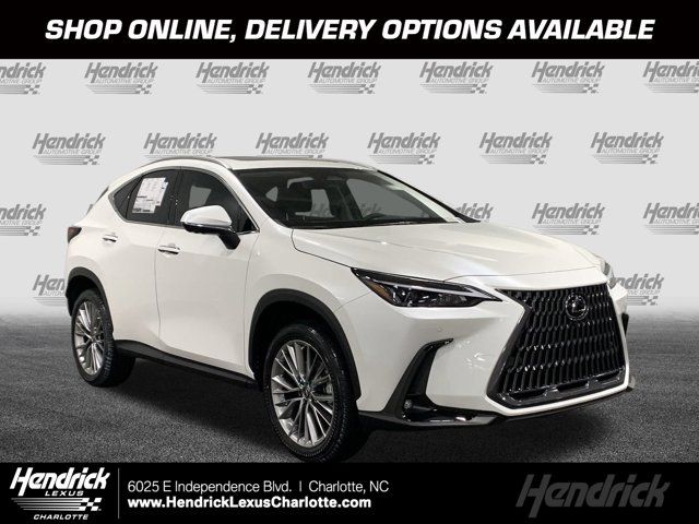 2025 Lexus NX 350 Premium