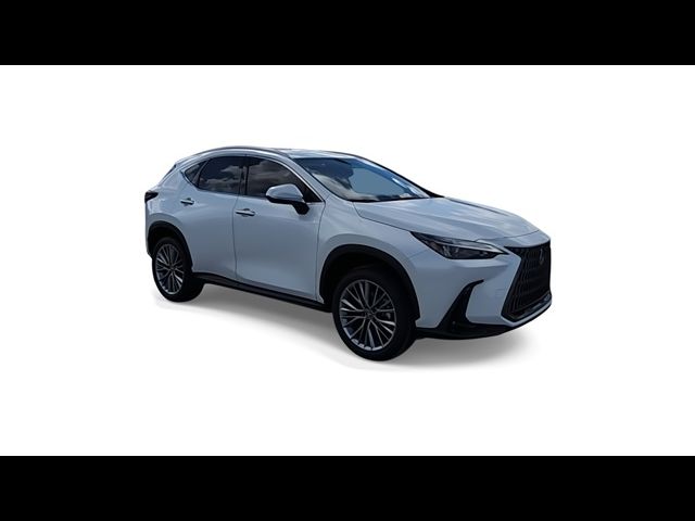 2025 Lexus NX 350 Premium