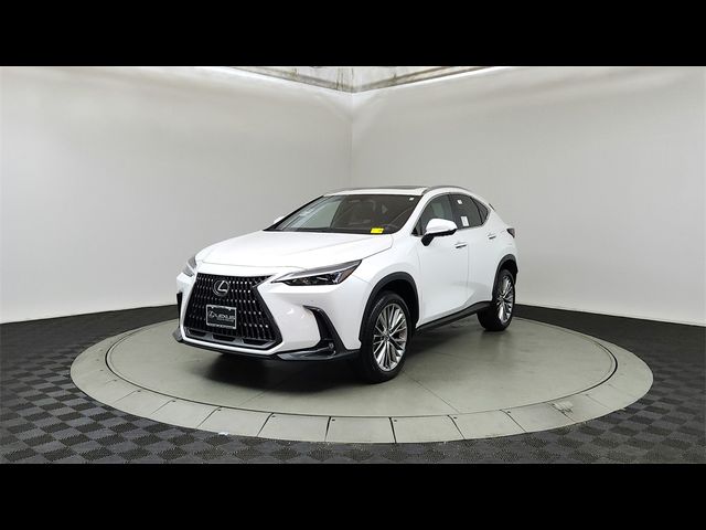 2025 Lexus NX 350 Premium