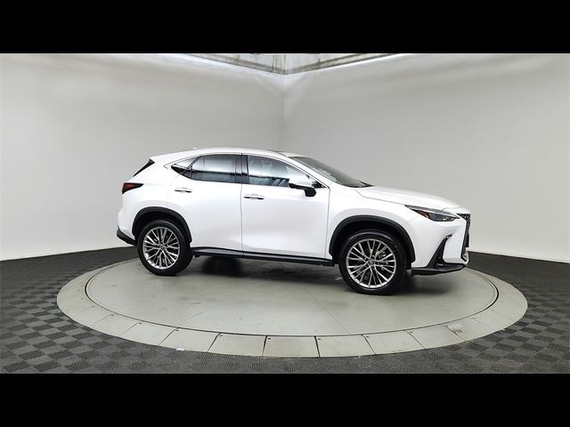 2025 Lexus NX 350 Premium