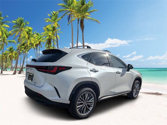 2025 Lexus NX 350 Premium