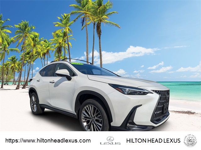 2025 Lexus NX 350 Premium