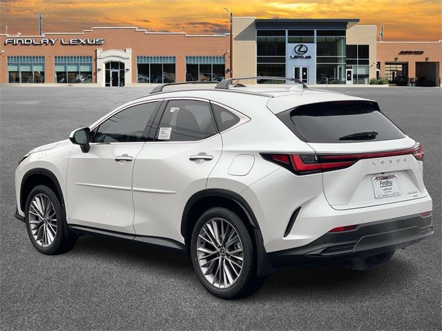 2025 Lexus NX 350 Premium