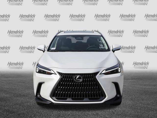 2025 Lexus NX 350 Premium