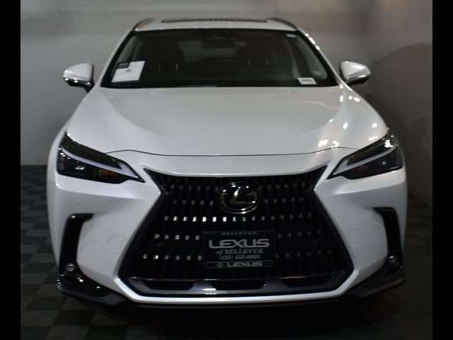 2025 Lexus NX 350 Premium