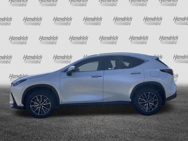 2025 Lexus NX 350 Premium