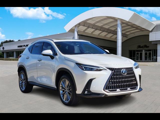 2025 Lexus NX 350 Premium