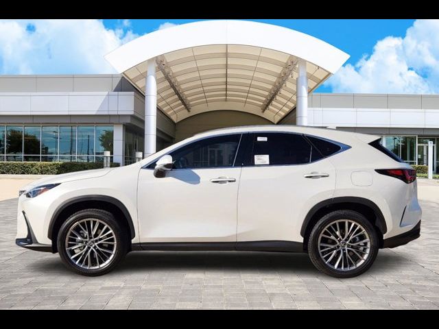 2025 Lexus NX 350 Premium