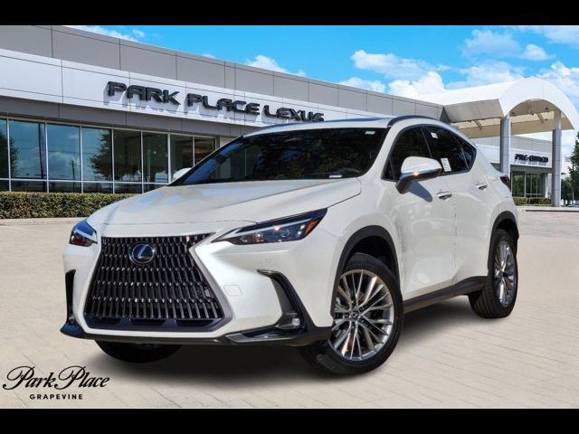 2025 Lexus NX 350 Premium