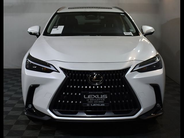 2025 Lexus NX 350 Premium