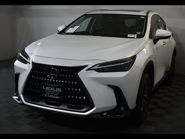 2025 Lexus NX 350 Premium