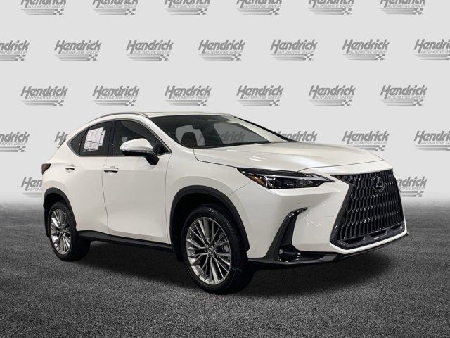 2025 Lexus NX 350 Premium